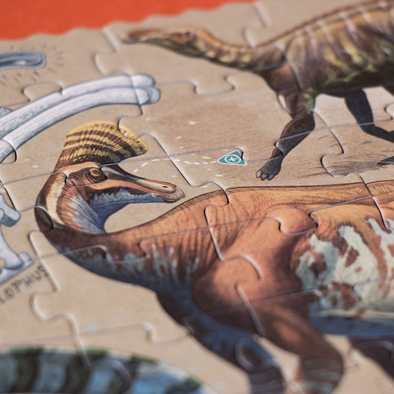 the world of dinosaurs puzzle